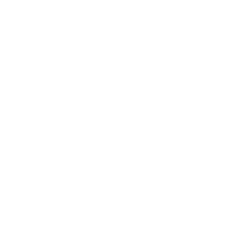 sportflow7